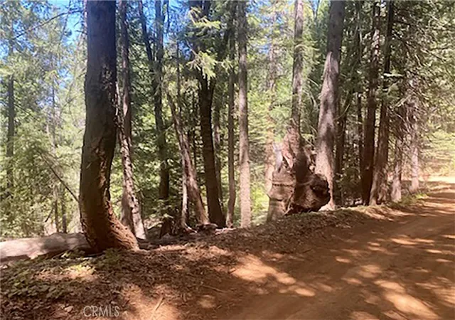 3rd image of 15052 Red Hill Spring Rd, Nevada City, CA 95959 | MLS# PI26051668