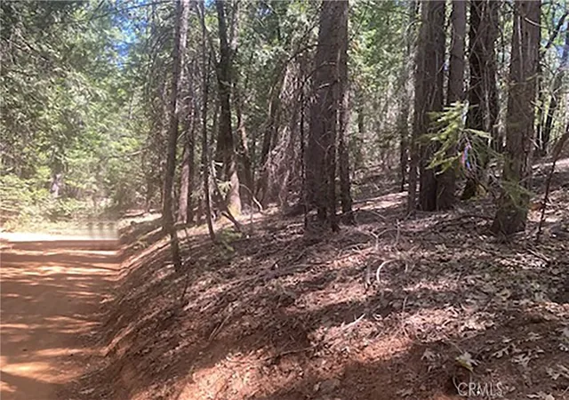 4th image of 15052 Red Hill Spring Rd, Nevada City, CA 95959 | MLS# PI26051668
