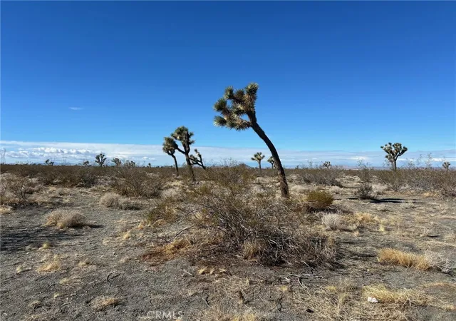 Photo 2 of Land for sale at 0 Silver Rock Rd, Pinon Hills, CA 92372 | MLS# HD26051725 | Listing updated on 2026-03-09