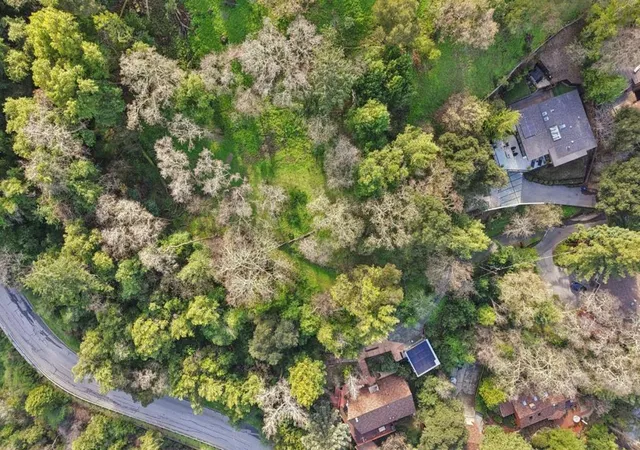 1st image of 145 Foxwood Road Road, Portola Valley, CA 94028 | MLS# ML82037840