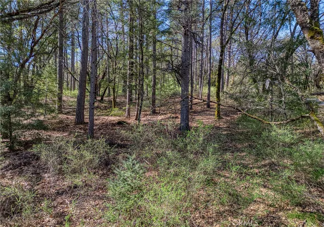 image of 15347 Western Mine, Middletown, CA 95461 | MLS# LC26040930
