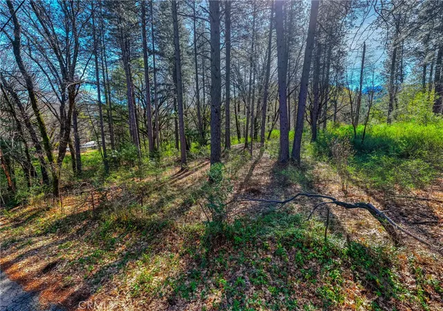 image of 15347 Western Mine, Middletown, CA 95461 | MLS# LC26040930