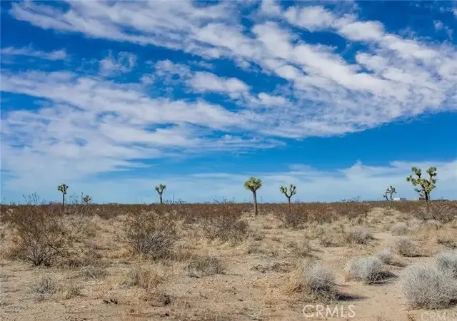 14th image of 4444 Avenida La Candela, Joshua Tree, CA 92252 | MLS# JT26050455