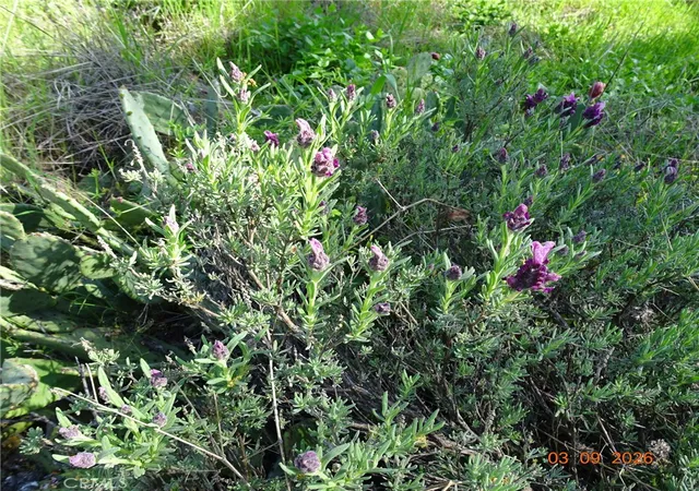 Photo 3 of Land for sale at 0 Incline, Oroville, CA 95966 | MLS# OR26052278 | Listing updated on 2026-03-10