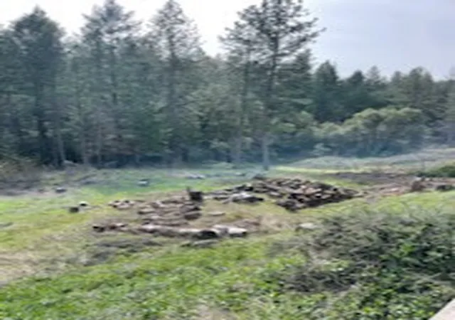 Photo 1 of Land for sale at 178 Bloomer Hl Rd, Berry Creek, CA 95916 | MLS# SN26048919 | Listing updated on 2026-03-10