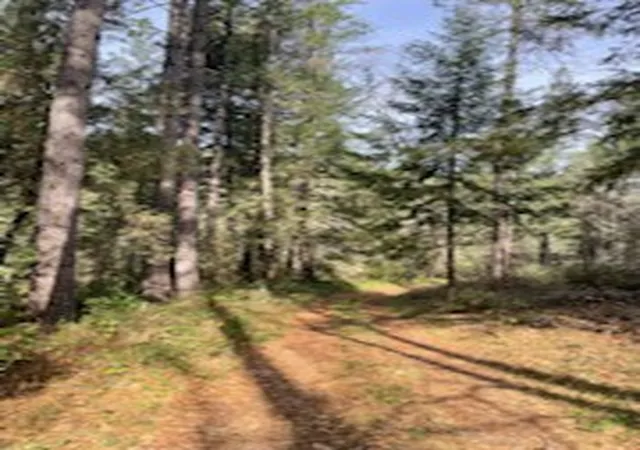 Photo 2 of Land for sale at 178 Bloomer Hl Rd, Berry Creek, CA 95916 | MLS# SN26048919 | Listing updated on 2026-03-10