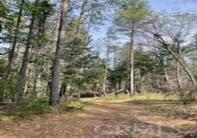Photo 3 of Land for sale at 178 Bloomer Hl Rd, Berry Creek, CA 95916 | MLS# SN26048919 | Listing updated on 2026-03-10