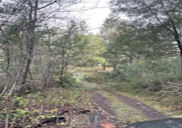 Photo 3 of Land for sale at 178 Bloomer Hl Rd, Berry Creek, CA 95916 | MLS# SN26048919 | Listing updated on 2026-03-10
