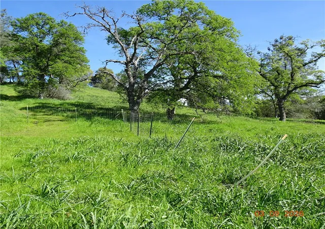 Photo 3 of Land for sale at 0 Reicker, Oroville, CA 95966 | MLS# OR26052344 | Listing updated on 2026-03-10