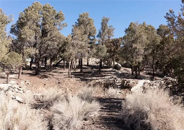 4th image of 0 Lakeview Dr, Big Bear City, CA 92314 | MLS# HD26048049