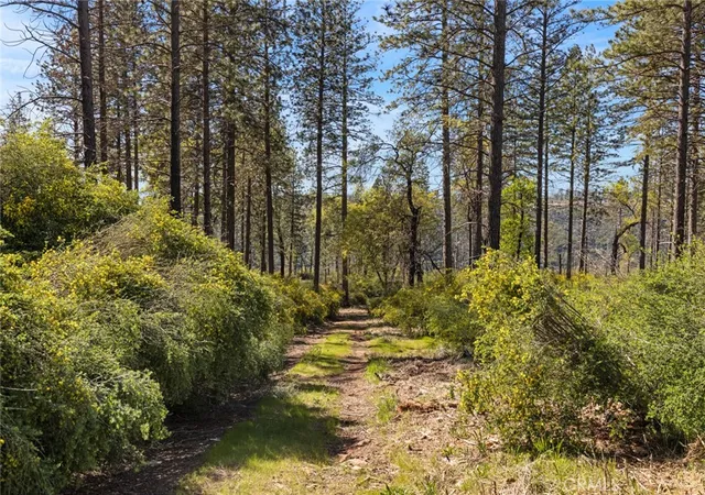 Photo 2 of Land for sale at 2922 Lost Ridge Way, Oroville, CA 95965 | MLS# SN26051340 | Listing updated on 2026-03-10