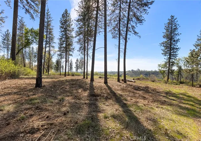 Photo 3 of Land for sale at 2922 Lost Ridge Way, Oroville, CA 95965 | MLS# SN26051340 | Listing updated on 2026-03-10