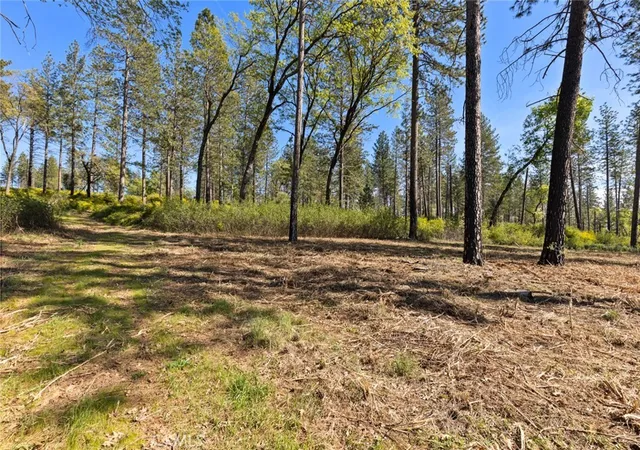 Photo 4 of Land for sale at 2922 Lost Ridge Way, Oroville, CA 95965 | MLS# SN26051340 | Listing updated on 2026-03-10