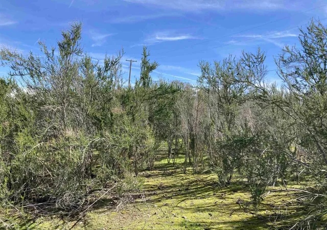 Photo 4 of Land for sale at 0 Inspiration Ct, Valley Springs, CA 95252 | MLS# PTP2601850 | Listing updated on 2026-05-05