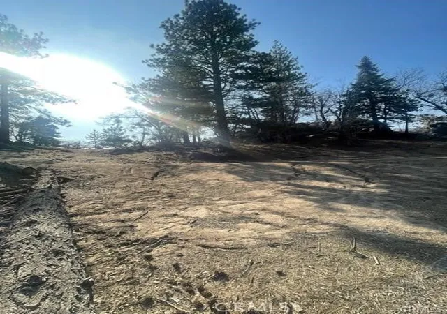 3rd image of 0 Forrest Dr, Running Springs, CA 92382 | MLS# HD26052605
