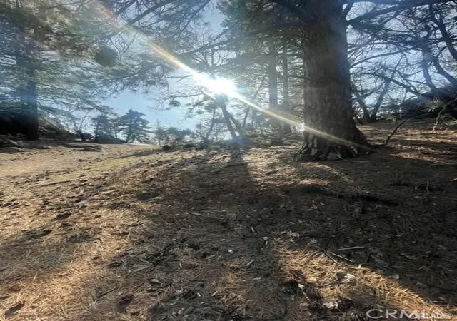 4th image of 0 Forrest Dr, Running Springs, CA 92382 | MLS# HD26052605