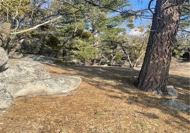 5th image of 0 Forrest Dr, Running Springs, CA 92382 | MLS# HD26052605