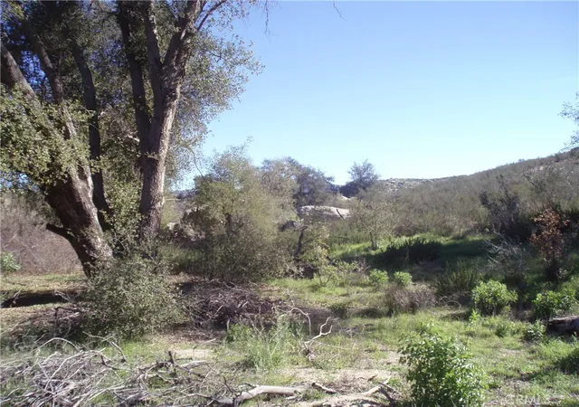 9th image of 0 Willow Canyon Rd, Hemet, CA 92544 | MLS# SW26053206