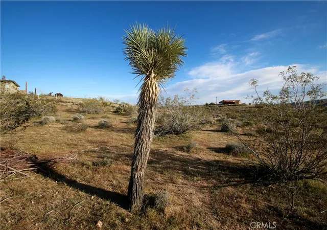 Photo 2 of Land for sale at 111 Perris, Landers, CA 92285 | MLS# JT26051067 | Listing updated on 2026-03-14