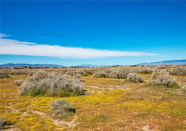 3rd image of 0 Avenue C-8, Antelope Acres, CA 93536 | MLS# SW26042889