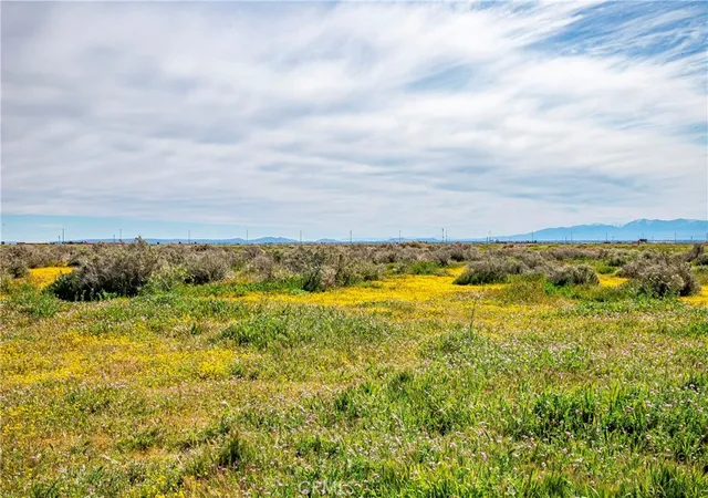 4th image of 0 Avenue C-8, Antelope Acres, CA 93536 | MLS# SW26042889