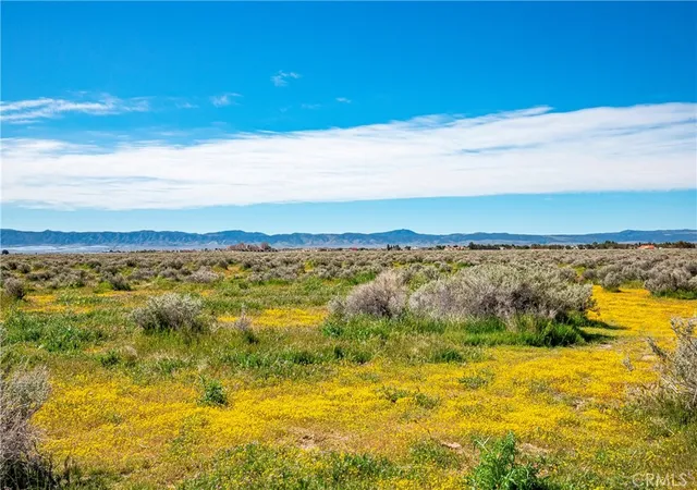 5th image of 0 Avenue C-8, Antelope Acres, CA 93536 | MLS# SW26042889