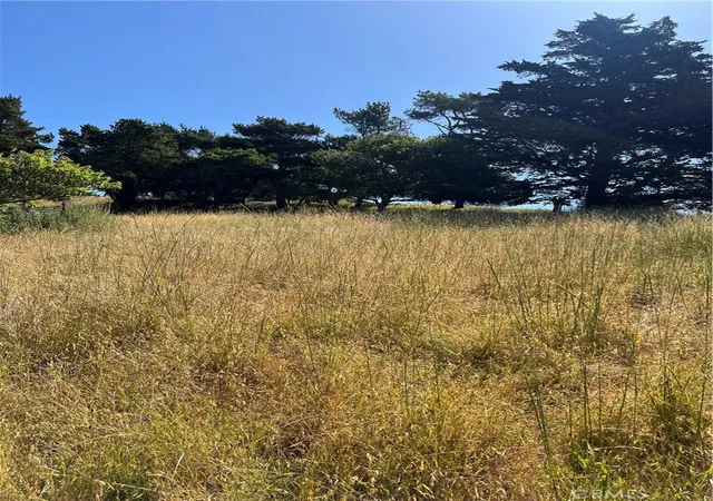 Photo 3 of Land for sale at 0 Pierce, Cambria, CA 93428 | MLS# SC26053477 | Listing updated on 2026-09-07