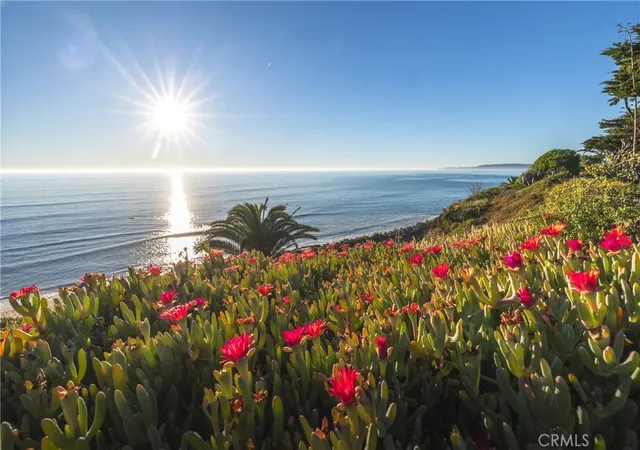 61st image of 4130 Calle Isabella, San Clemente, CA 92672 | MLS# NP26029243