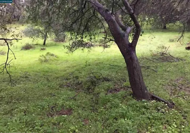 Photo 3 of Land for sale at 16 Brandywine Way, Martinez, CA 94553 | MLS# 41126751 | Listing updated on 2026-09-30