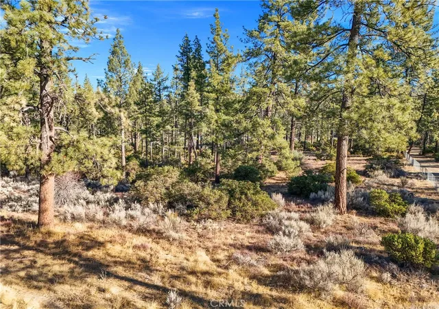 2nd image of 1 Pipe Creek Rd, Mountain Center, CA 92561 | MLS# OC26053570