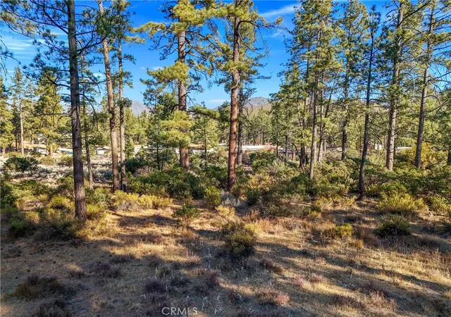 Photo 3 of Land for sale at 1 Pipe Crk Rd, Mountain Center, CA 92561 | MLS# OC26053570 | Listing updated on 2026-09-02