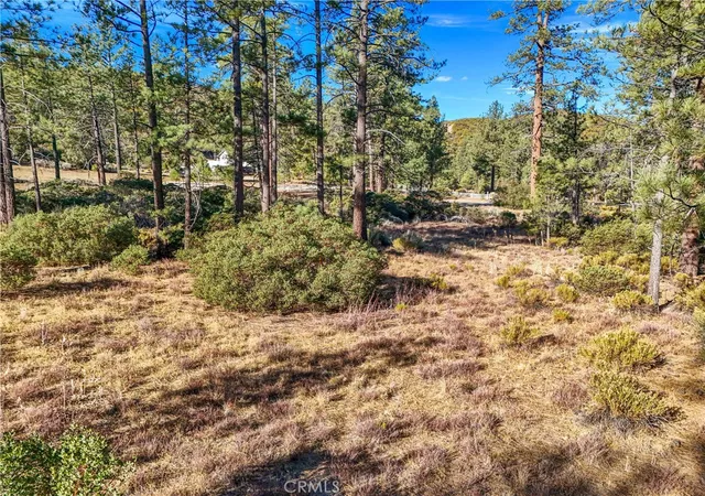 Photo 4 of Land for sale at 1 Pipe Crk Rd, Mountain Center, CA 92561 | MLS# OC26053570 | Listing updated on 2026-09-02