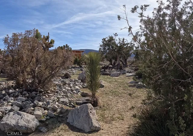 4th image of 30000 Buchannon Ranch Rd, Llano, CA 93544 | MLS# CV26055012