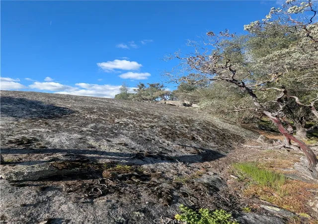 5th image of 4181 Burl, Mariposa, CA 95338 | MLS# MP26054077