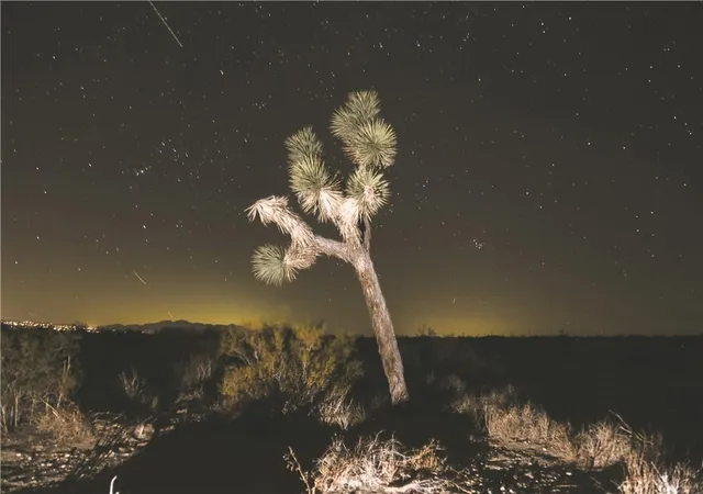 10th image of 52552 Gamma Gulch, Pioneertown, CA 92268 | MLS# JT26050459