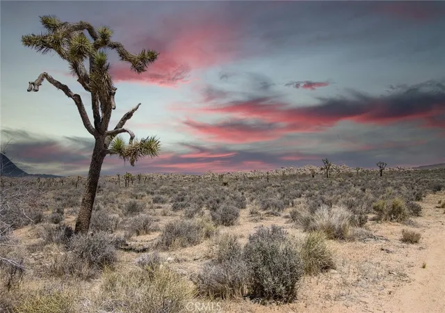 1st image of 52552 Gamma Gulch, Pioneertown, CA 92268 | MLS# JT26050459