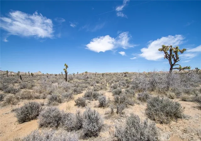 2nd image of 52552 Gamma Gulch, Pioneertown, CA 92268 | MLS# JT26050459