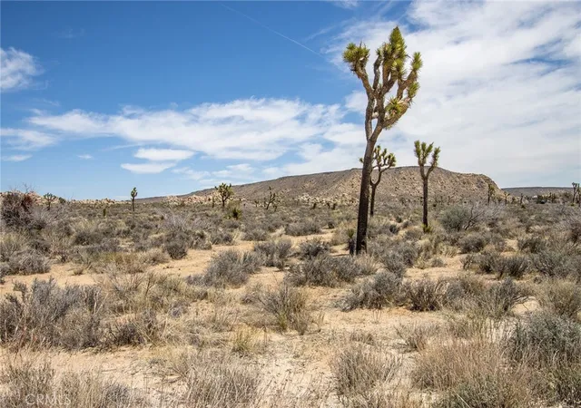 3rd image of 52552 Gamma Gulch, Pioneertown, CA 92268 | MLS# JT26050459