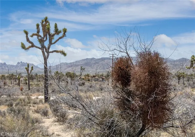 4th image of 52552 Gamma Gulch, Pioneertown, CA 92268 | MLS# JT26050459