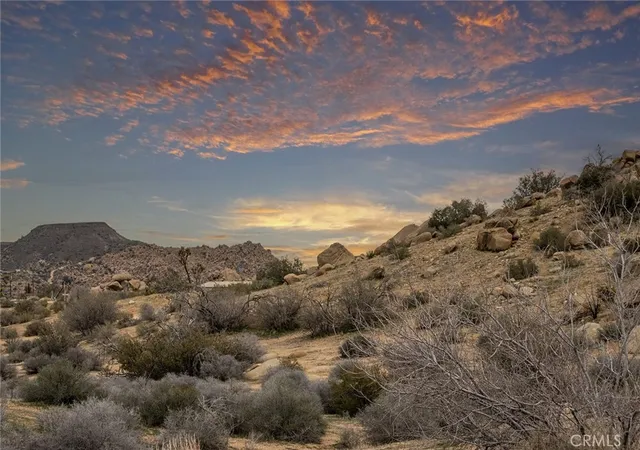 5th image of 52552 Gamma Gulch, Pioneertown, CA 92268 | MLS# JT26050459