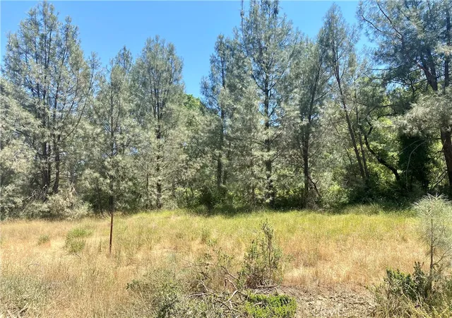27th image of 2286 New Long Valley Rd, Clearlake Oaks, CA 95423 | MLS# LC26055589