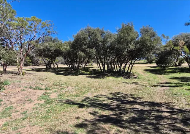 2nd image of 38295 Indian Rd, Anza, CA 92539 | MLS# SW26053580