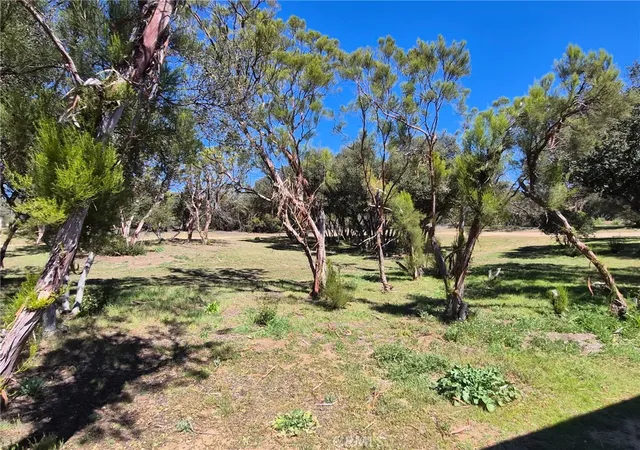 Homes for sale in Anza, CA | 38295 Indian Rd, Anza, CA 92539 | MLS# SW26053580