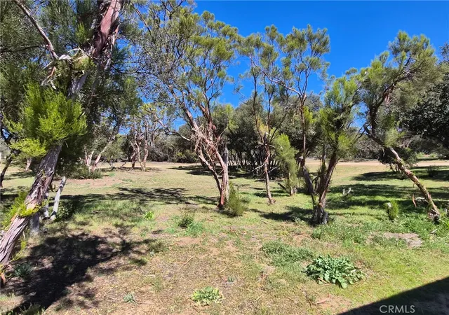 3rd image of 38295 Indian Rd, Anza, CA 92539 | MLS# SW26053580