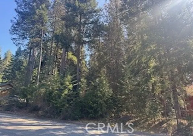 3rd image of 4 Lot 5 Mountain Estates Subdivision, Dunsmuir, CA 96025 | MLS# SC26055721