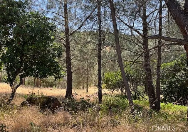 Photo 2 of Land for sale at 10353 Walnut Way, Kelseyville, CA 95451 | MLS# LC26056131 | Listing updated on 2026-07-09