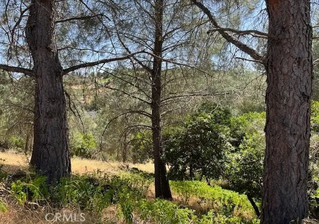 Photo 3 of Land for sale at 10353 Walnut Way, Kelseyville, CA 95451 | MLS# LC26056131 | Listing updated on 2026-07-09
