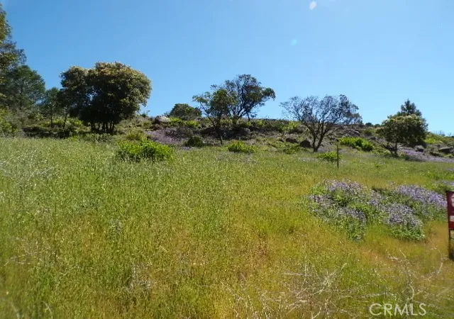 2nd image of 10450 Sunset Ridge Dr, Kelseyville, CA 95451 | MLS# LC26056317