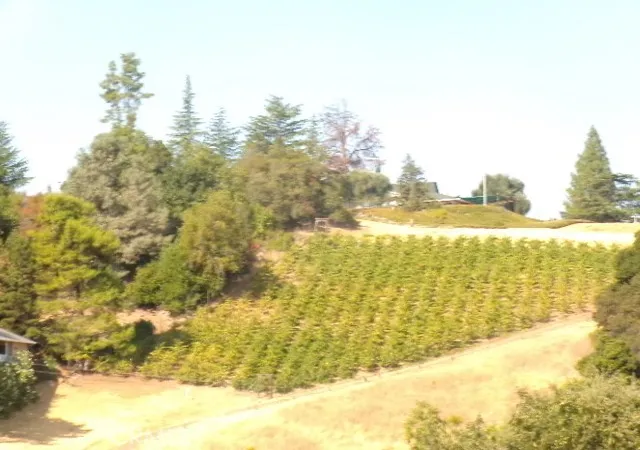 5th image of 10450 Sunset Ridge Dr, Kelseyville, CA 95451 | MLS# LC26056317
