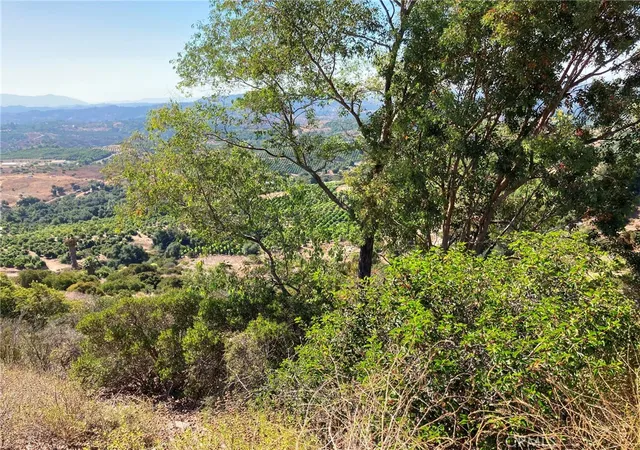4th image of 37 El Calamar Rd, Temecula, CA 92590 | MLS# SW26056511